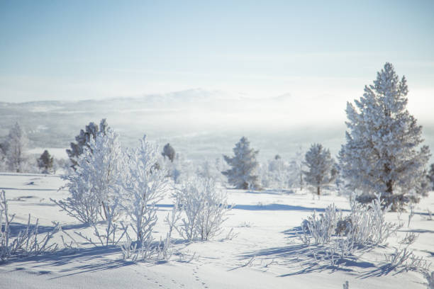istock A beautiful winter landscape in Norway. Snowy scenery. 1143450285