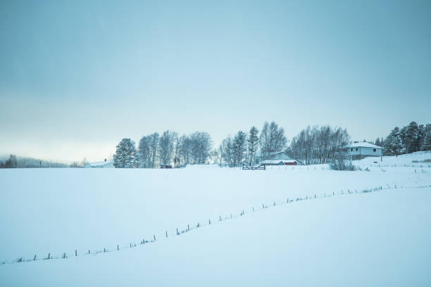 istock A beautiful winter landscape in Norway. Snowy scenery. 1143450432