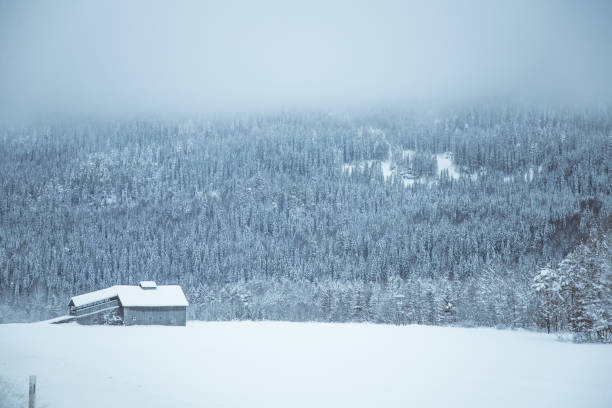 istock A beautiful winter landscape in Norway. Snowy scenery. 1143450655