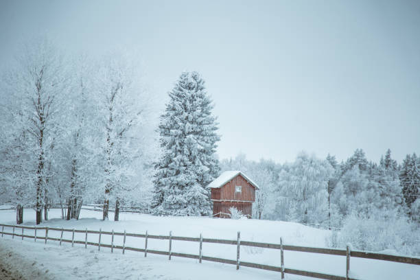 istock A beautiful winter landscape in Norway. Snowy scenery. 1143450685