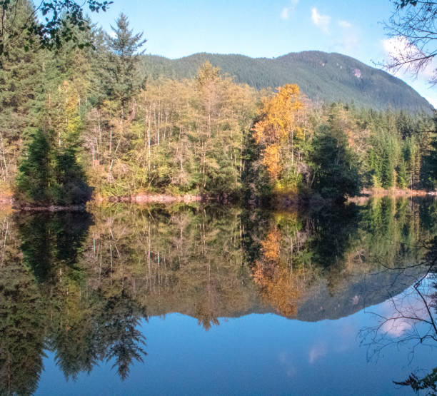 istock Reflections on Rice Lake, Vancouver, British Columbia 1143453591