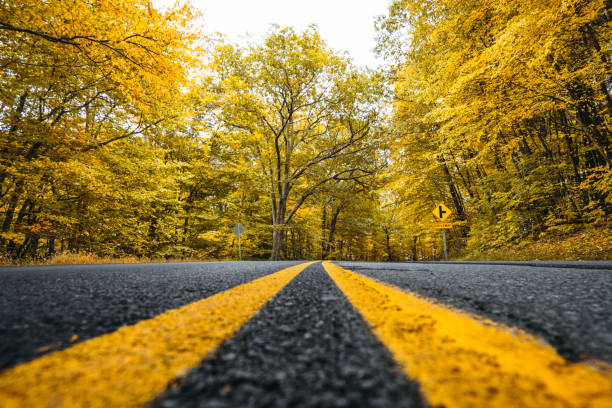 istock Autumnal road in new hampshire 1143457045