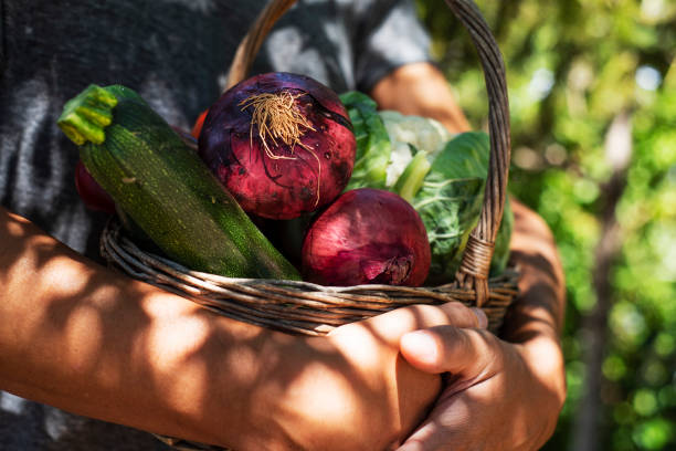 istock young man with a basket full of vegetables 1143461991