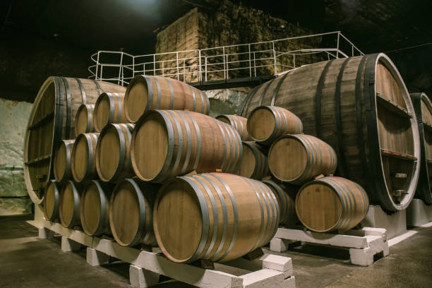 istock Underground wine cellar with old big wooden barrels or containers in winery 1143462120