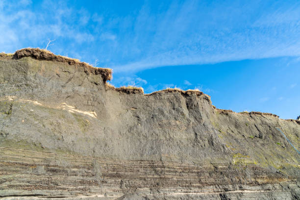 istock Sand dune and beach erosion by tides 1143465284