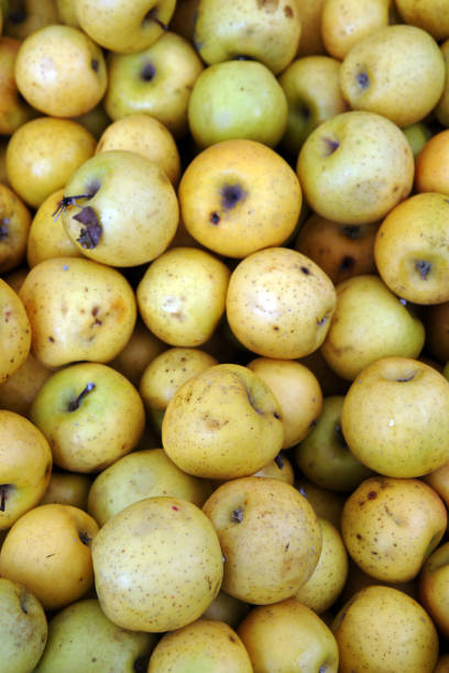 istock Organic Yellow Golden Apples 1143467230