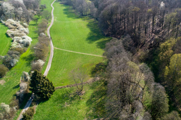 istock Landscape in early spring - aerial view 1143468114