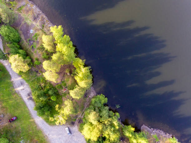 istock Air panorama of pond beach and wild pine forest 1143468214