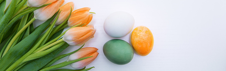 Easter eggs and yellow tulips. Festive decoration on white background.