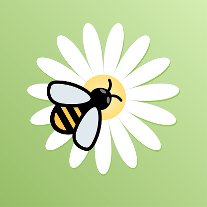 Honey bee on flower icon. Vector illustration of wildlife symbol on green background. - Vector