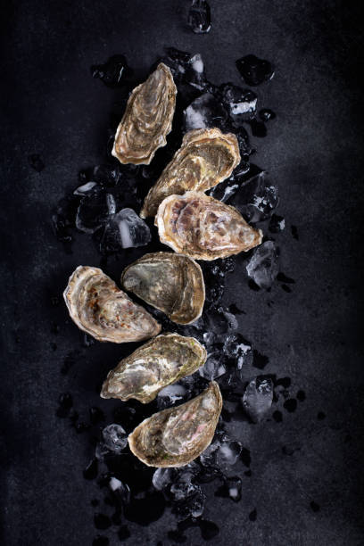 Closed oysters on black background. Healthy sea food stock photo