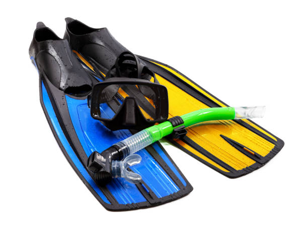 istock Mask, snorkel and flippers of different colors 1143476594