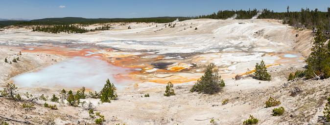 norris geyser basin porcelain in in Yellowstone National Park in Wyoming
