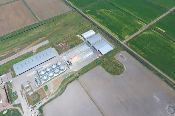 istock Plant for the drying and storage of grain. Top view. 1143479224