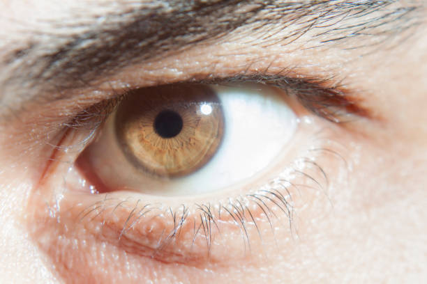 istock Macro image of human eye 1143480669