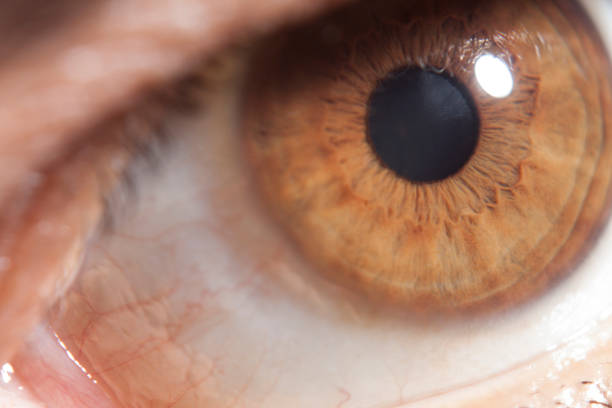 istock Macro image of human eye 1143480757