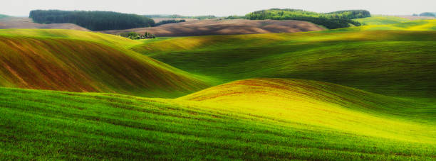 istock hilly field. picturesque spring field. agricultural field 1143482575