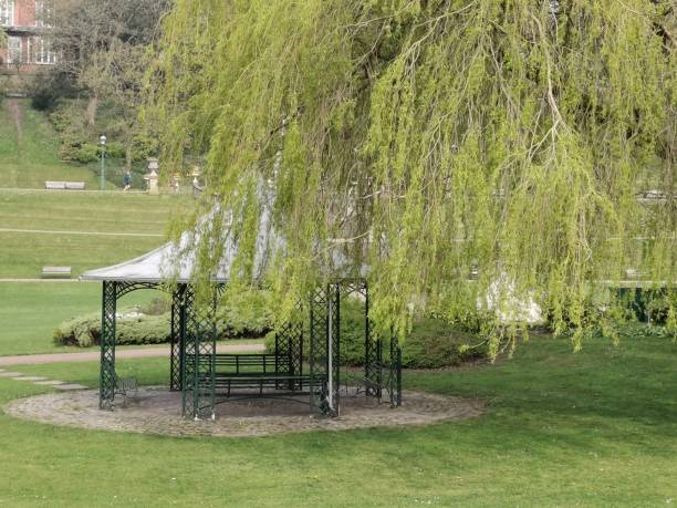 istock A sitting area to relax in Avenham Park 1143488205