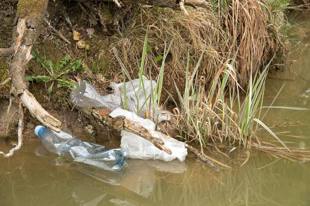 istock Pollution of plastic in water. Plastic waste floats in water. Environmental Protection. Plastic bottles and other trash on the water 1143488603