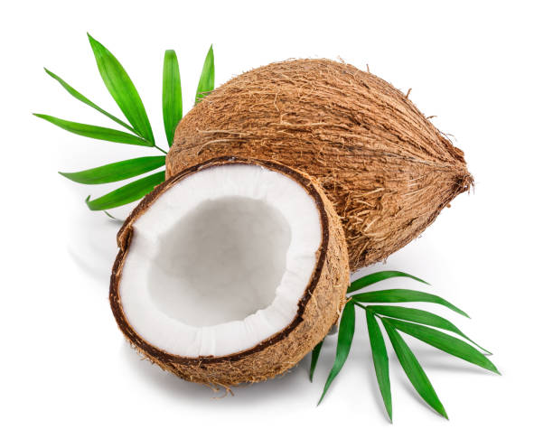istock coconut with leaves isolated on white background 1143492206