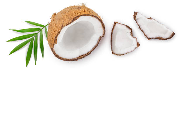 istock coconut with leaves isolated on white background with copy space for your text. Top view. Flat lay 1143492221