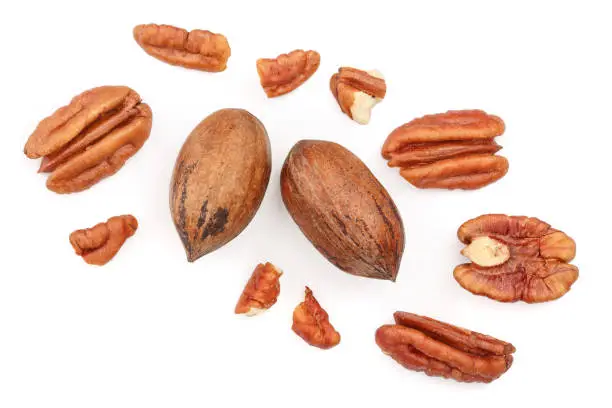 Photo of pecan nut isolated on white background. Top view. Flat lay