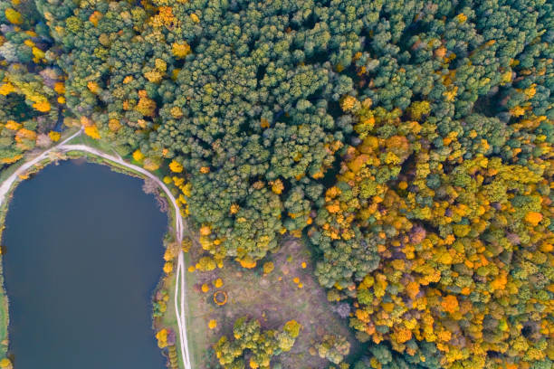 istock Lebedyansky pond in Izmailovo Park in the fall. 1143494234