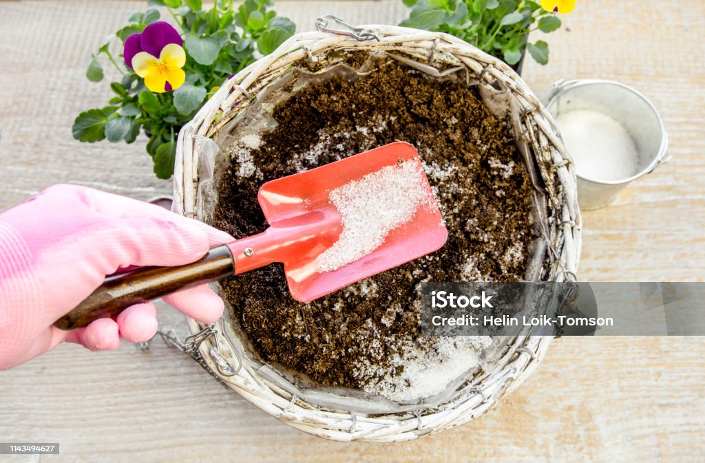 Water gel granules absorb water and stored water is available to release gradually to plant roots as needed gives healthier growing environment. Prevents over and under watering concept, studio shot. Crystal Stock Photo