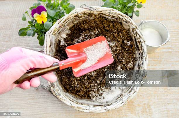 Water Gel Granules Absorb Water And Stored Water Is Available To Release Gradually To Plant Roots As Needed Gives Healthier Growing Environment Prevents Over And Under Watering Concept Studio Shot Stock Photo - Download Image Now