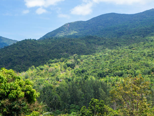 istock Beautiful landscape in Bali 1143496127