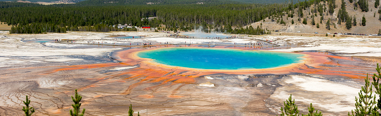 Geyser in grand prismatic spring Basin in Yellowstone National Park in Wyoming