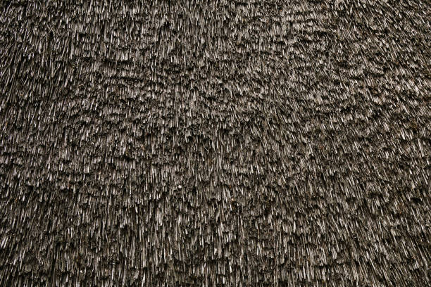 istock old weathered thatched roof background texture 1143497943