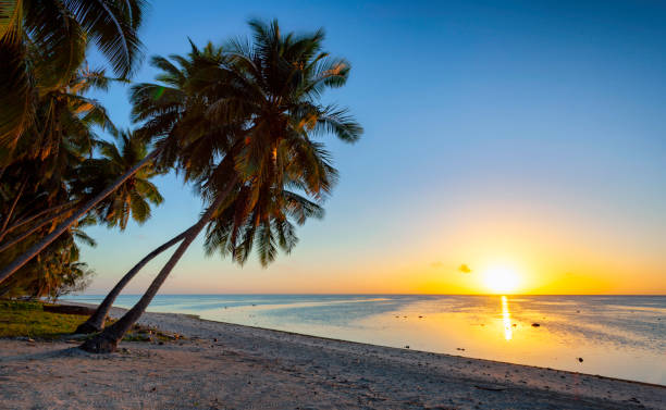 istock Aitutaki Beach At Dawn 1143499689