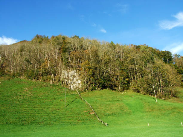 istock Trees and deciduous forests in early fall in the Alpstein mountain range and in the Appenzellerland region 1143500973