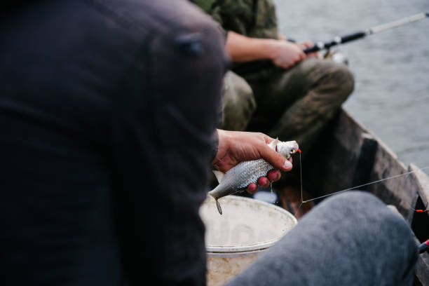 istock Fisherman off the hook caught fish close up 1143501418
