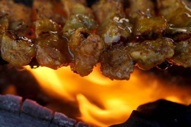Satay lined on flaming charcoal pit.