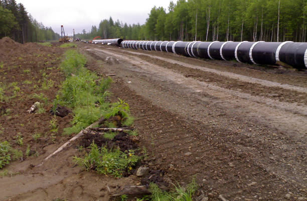 строительство газопровода на земле - nord stream стоковые фото и изображения