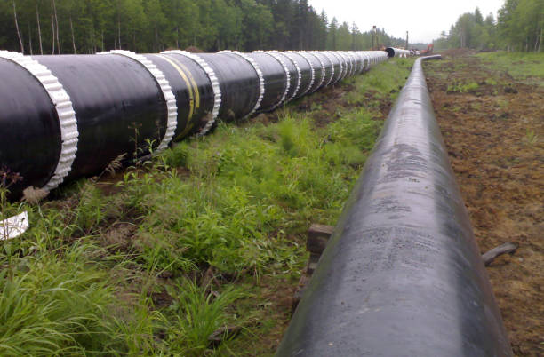 aanleg van gasleiding op de grond - nordstream stockfoto's en -beelden
