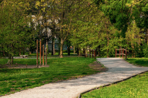 istock alley in a park 1143506072