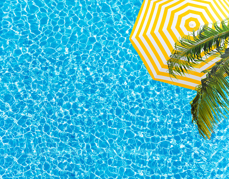 Clean pool surface umbrella and palm tree with copy-space view from above