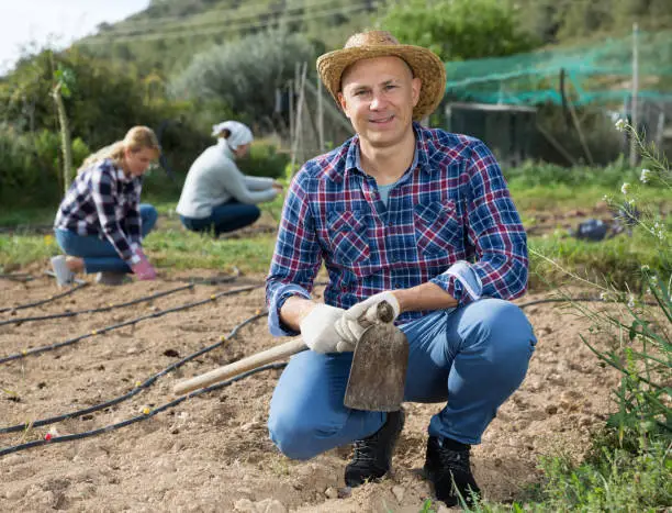 Photo of Farmer with hoe in vegetable garden