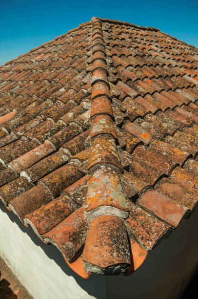 istock Roof covered by moss and lichens 1143515011