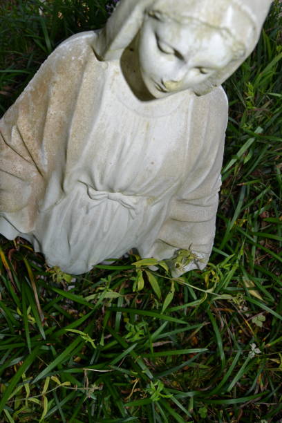 istock nature  and angels no people 1143519677