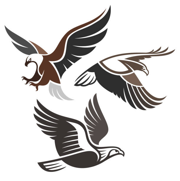 Stylized Birds of Prey Stylized Birds in flight - Eagles eagles stock illustrations