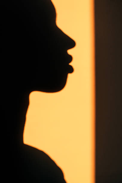 istock Beautiful anonymous woman face shadow 1143519965
