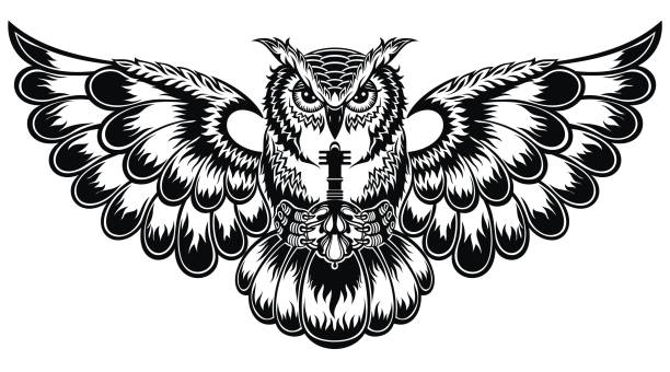 Owl Owl logo . Emblem design unconventional wisdom stock illustrations