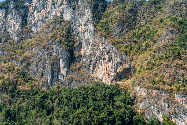istock Khao Sok Lake National Park 1143520870
