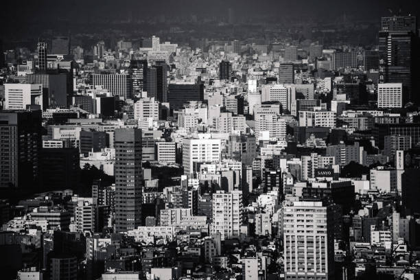 Big city view. Tokyo, Japan