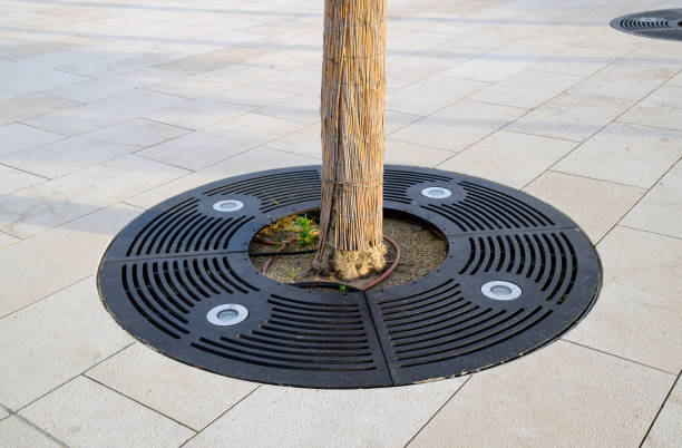 LED lamps to illuminate the tree in the park. Tree trunk