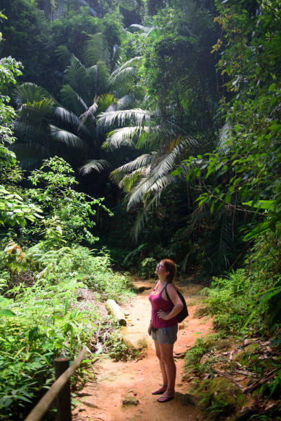 istock Woman Looks at the Trees 1143525584